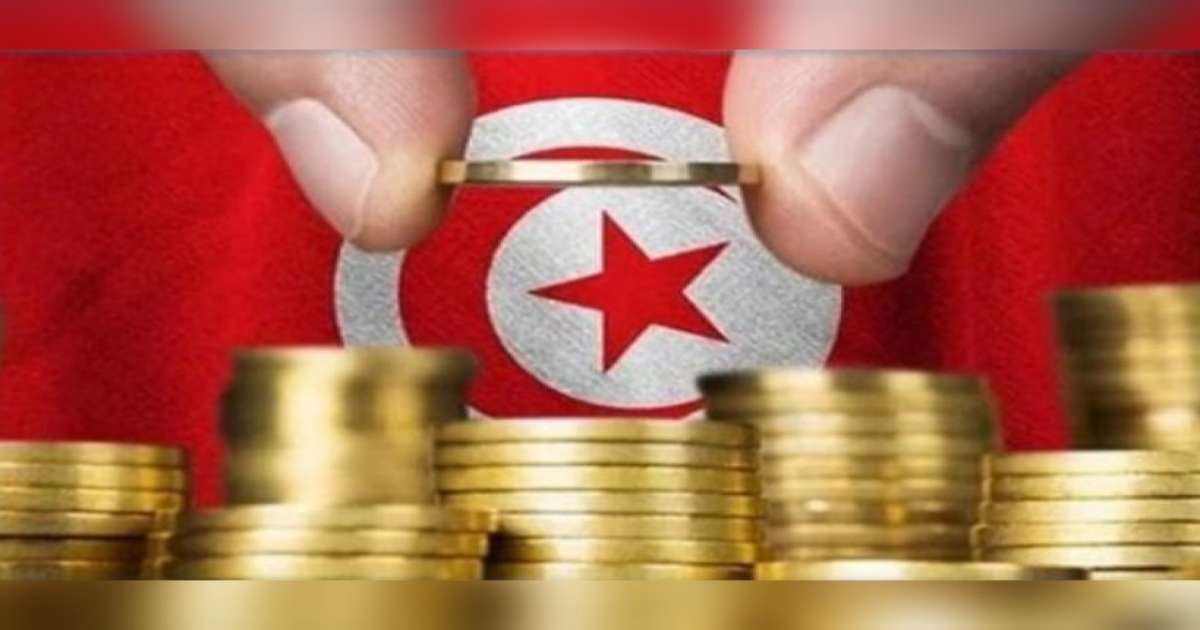 ميزانية  2026: اعتمادات وزارة الفلاحة في حدود 2467 مليون دينار