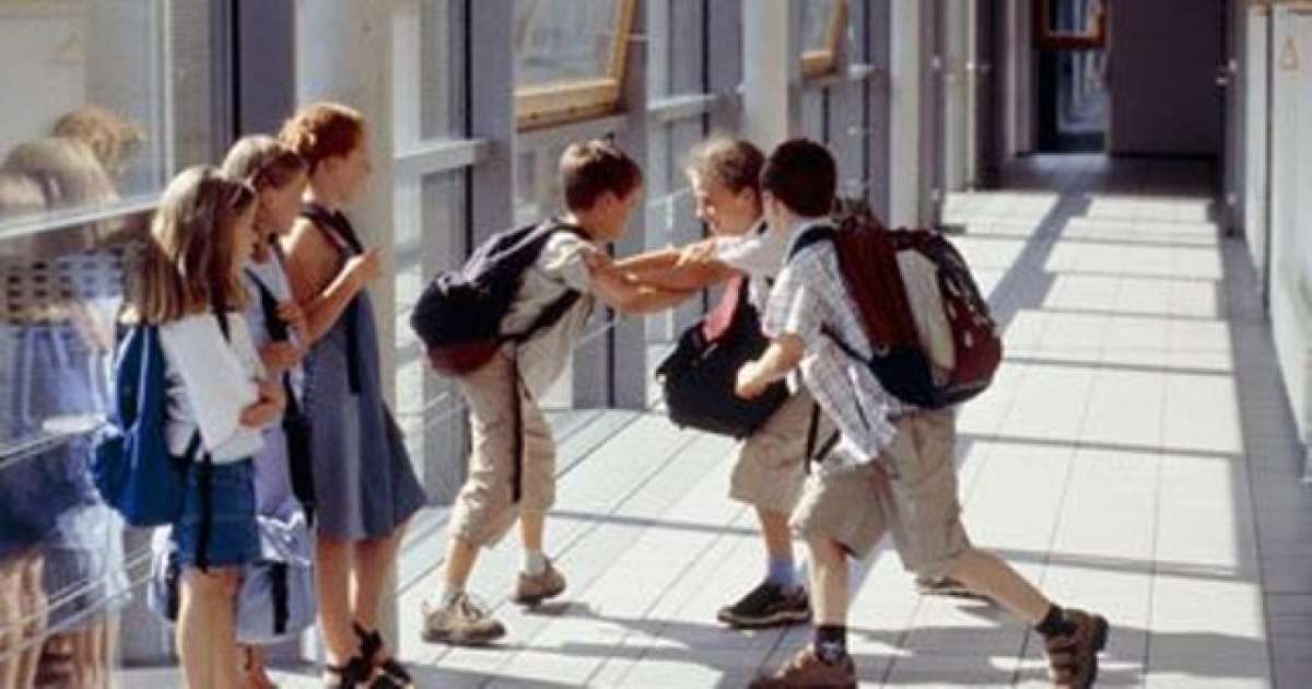 وزارة التربية تطلق خطة وطنية شاملة لتحصين المؤسسات التربوية من العنف